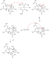 Mechanism of the Koenigs–Knnorr method