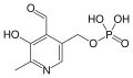 Pyridoxal phosphate