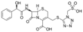 Cefonicid
