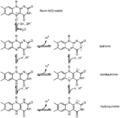 Redox states of FAD, a cofactor in enzymatic reactions.