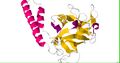 Inositol trisphosphate receptor structure
