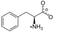 Phenylalanine at Physiological pH