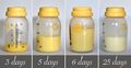 From Colostrum to Breastmilk