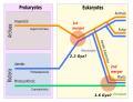 Cell (biology)