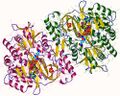 Glutathione synthetase model