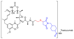 Trastuzumab emtansine