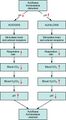 Respiratory regulation of blood