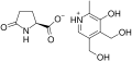 Metadoxine