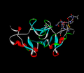 Oxytocin bound to neurophysin