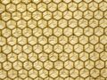 Beeswax foundation
