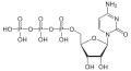 Cytidintriphosphat protoniert