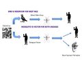 Disease vector