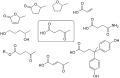 Levulinic Acid Family