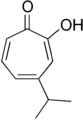 Structure of Gamma-thujaplicin