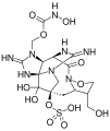 Zetekitoxin AB structure