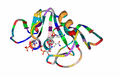 Wild-type Staphylococcus aureus DHFR in complex with NADPH and Trimethoprim