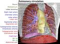 Pulmonary artery