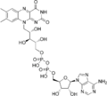 Flavin adenine dinucleotide