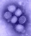 H1N1 Influenza Virus