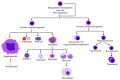 Blood cell