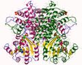 Crystal structure of the enzyme