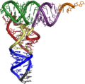 3D tRNA