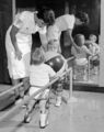 Social history of viruses