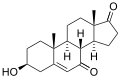 Structure of 7-Keto-DHEA
