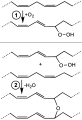 Drying oil steps