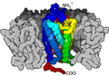G protein-coupled receptor