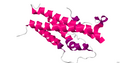 1Z7C.pdb