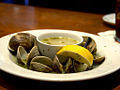 Hard clams in their natural habitat