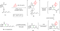Cascade reaction
