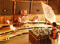 TWE Saunaparadies Stonehenge Keltenthron-Sauna Aufguss Fahne