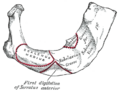 Thumbnail for version as of 17:28, 18 May 2026