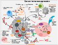 Immune checkpoints of immunosuppressive actions associated with breast cancer