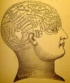 Phrenology