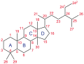 Trimethyl steroid nomenclature