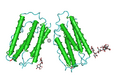 1AU1 Human Interferon-Beta01