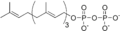 Geranylgeranyl pyrophosphate