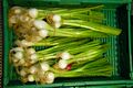 Scallions in Supermarket