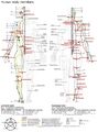 List of acupuncture points