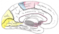 Thumbnail for version as of 17:28, 18 May 2026