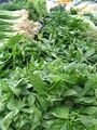 An assortment of fresh herbs commonly used for flavoring dishes.