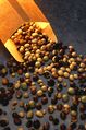 Soybean varieties