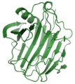Ribbon diagram of cellulase