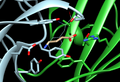 GABAA receptor with GABA