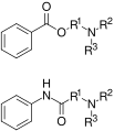 General structure of local anesthetics
