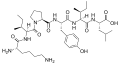 Neuromedin N