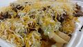 Tacos El Gordo Carne Asada Fries close up
